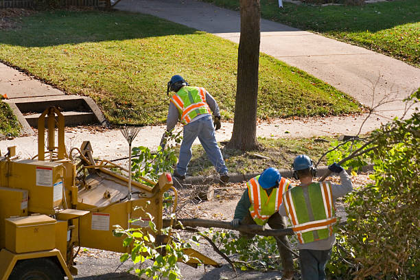 Best Pest Control for Lawns  in Puyallup, WA